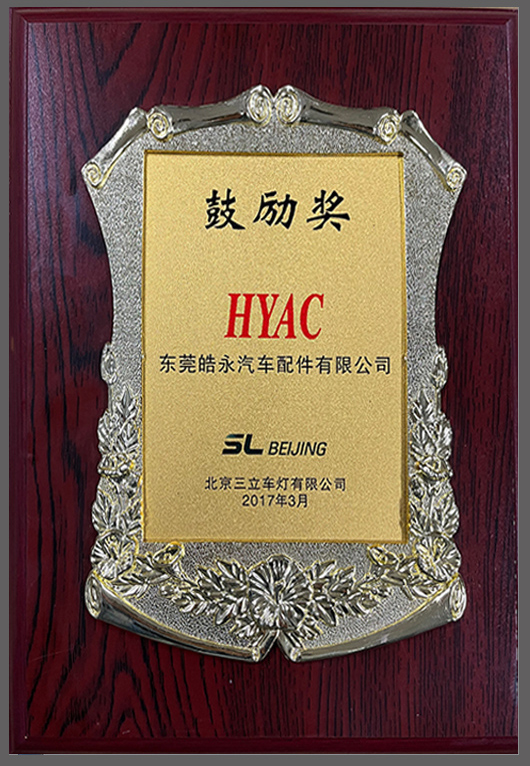 Encouragement Award
